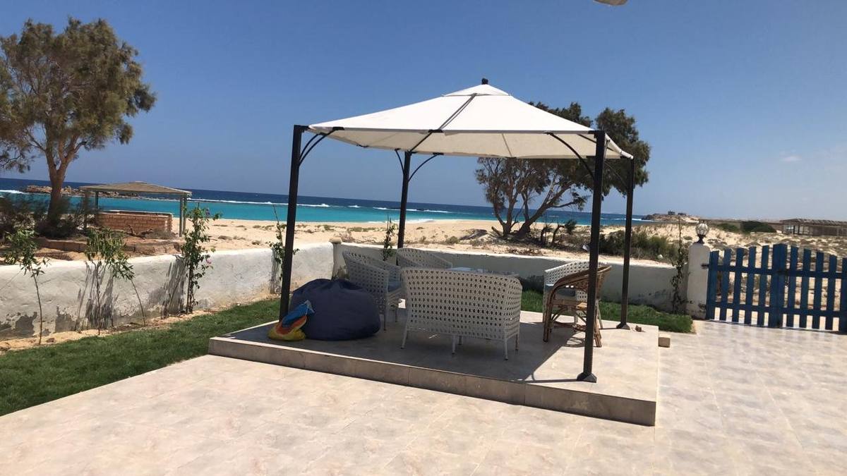 جازيبو في القرية على البحر سنة ٢٠٢٦